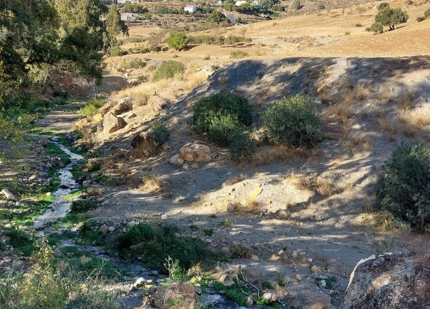 El Bufon De La Corte Carratraca 0*,  España