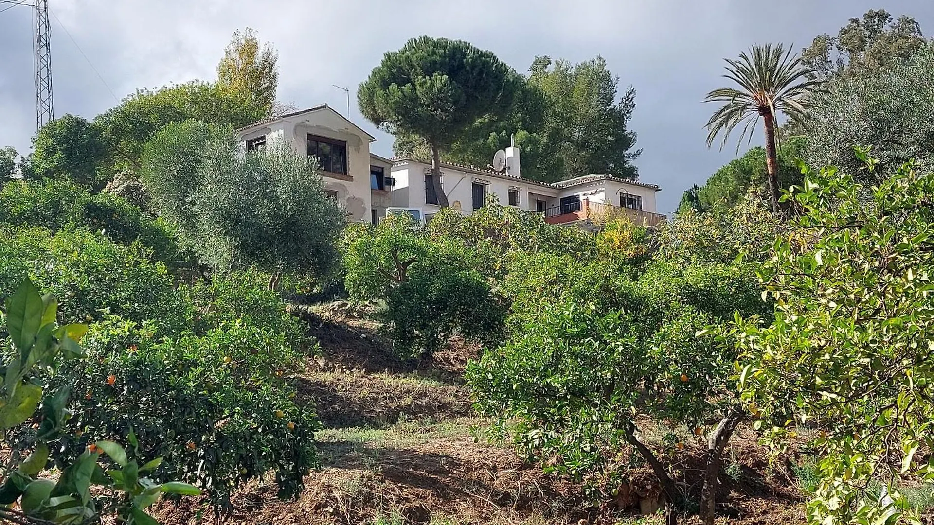 El Bufon De La Corte Carratraca Bed and breakfast