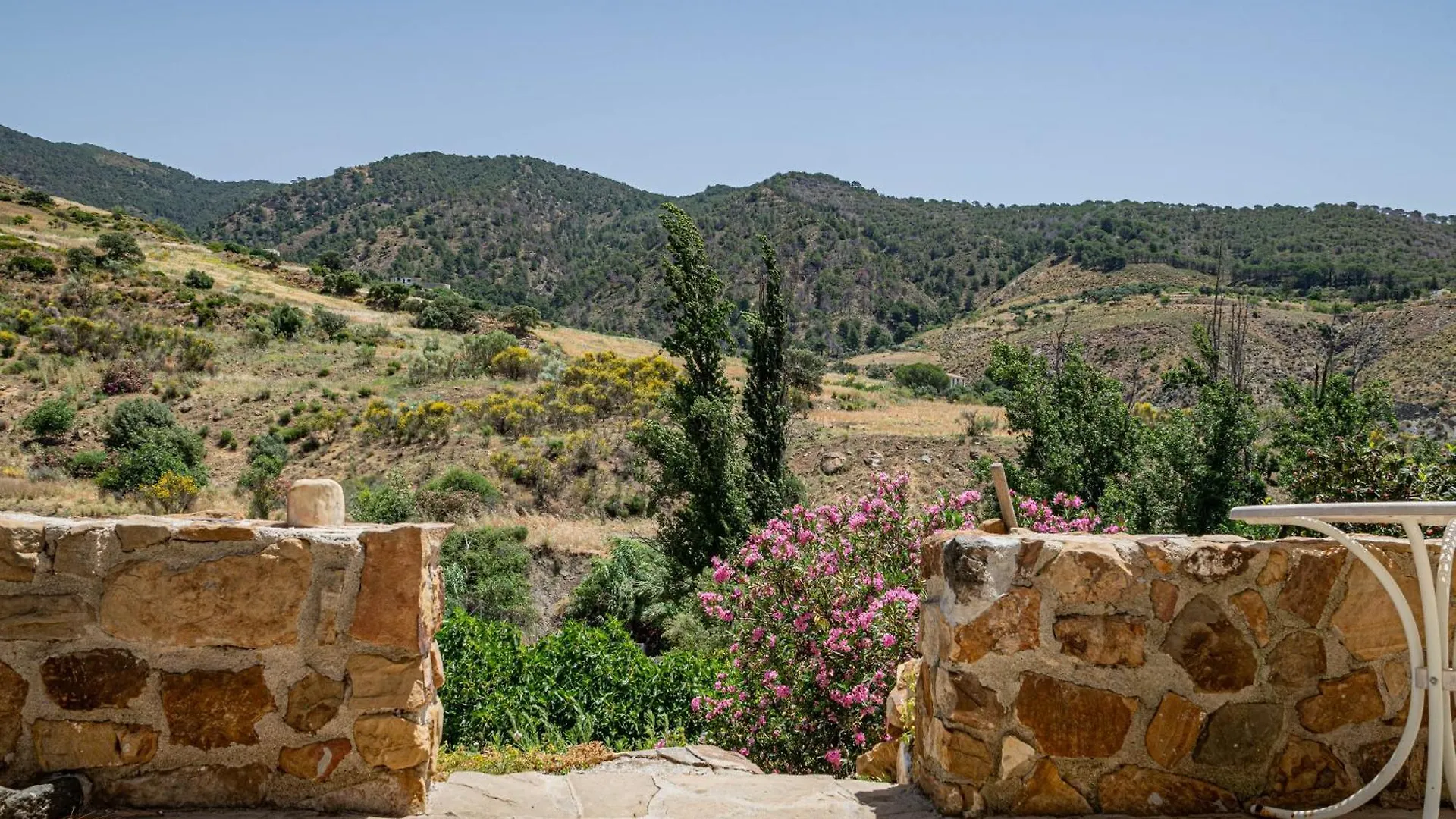 El Bufon De La Corte Carratraca