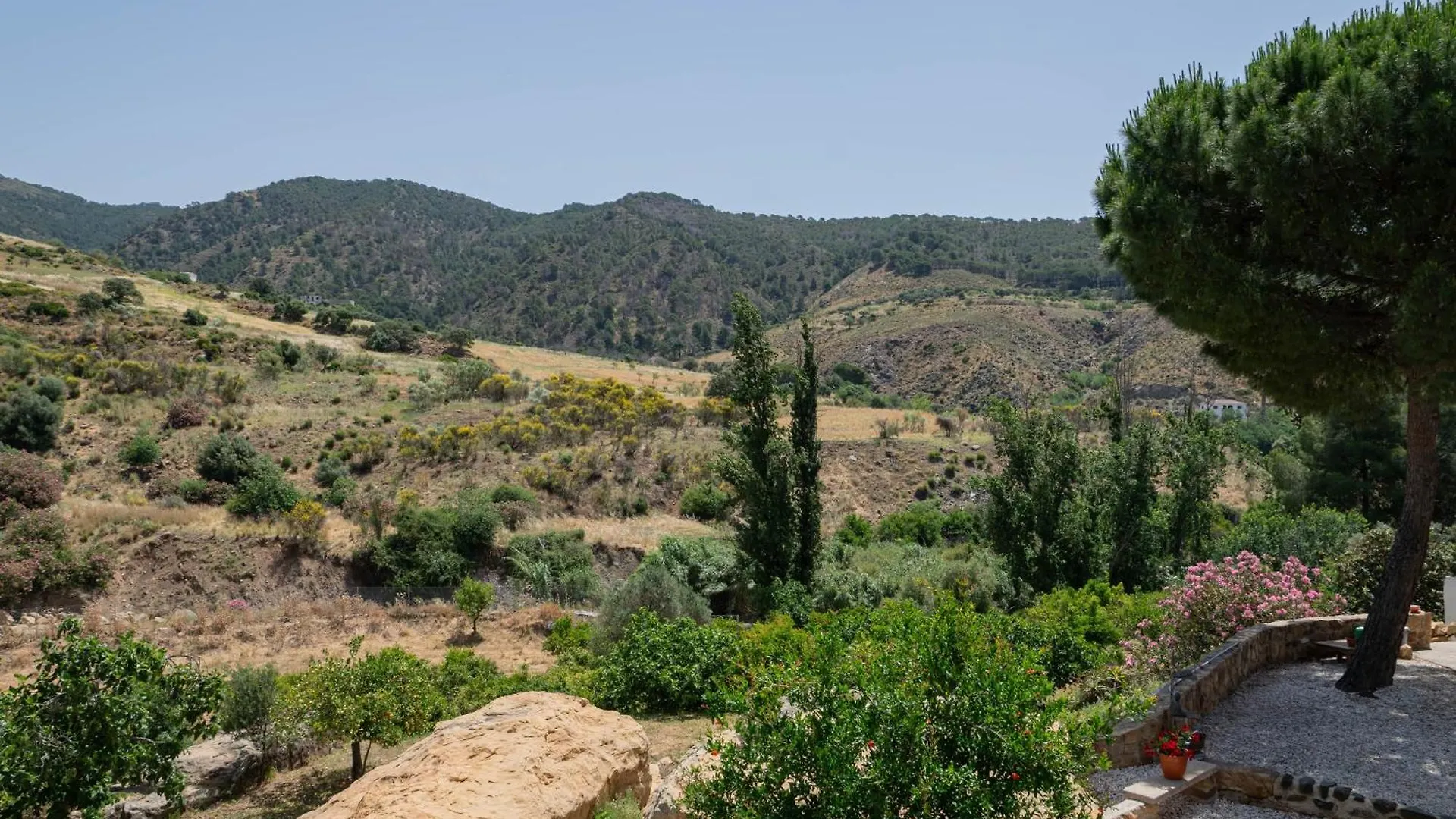 Bed and breakfast El Bufon De La Corte Carratraca
