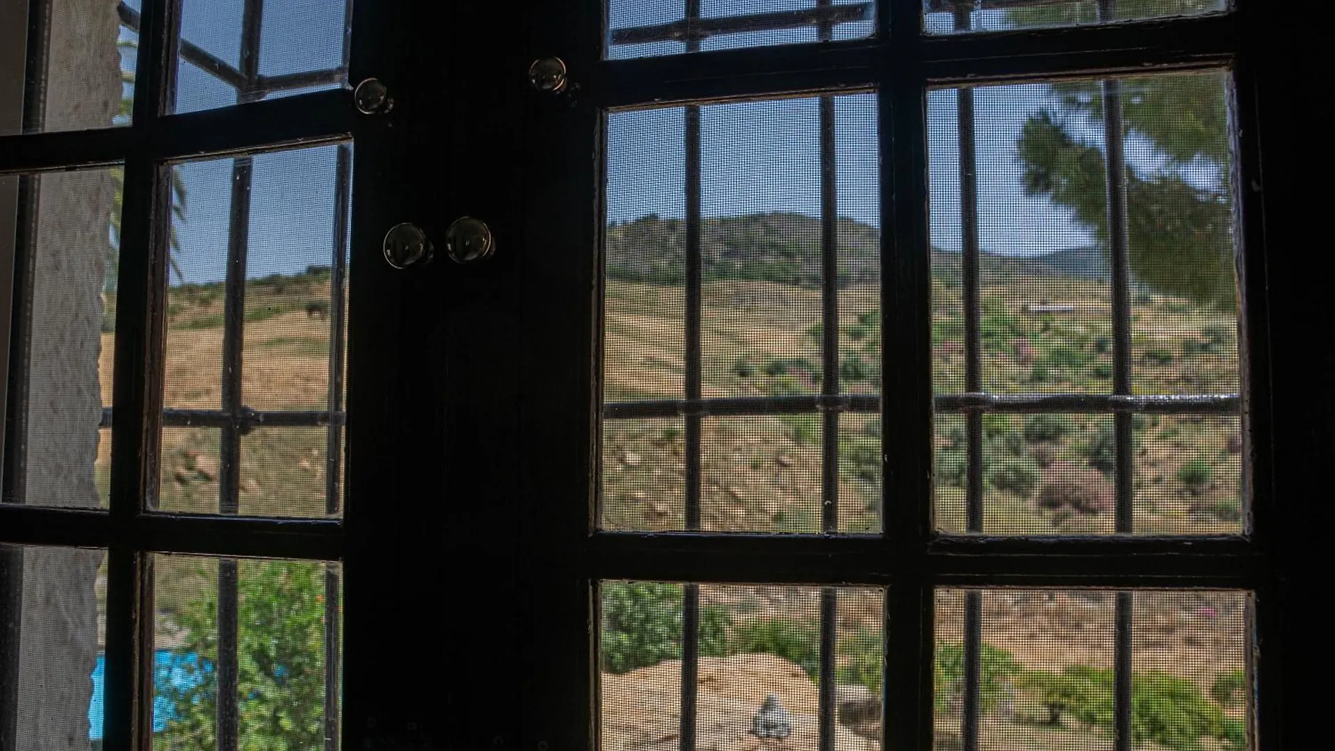 El Bufon De La Corte Carratraca